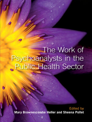 cover image of The Work of Psychoanalysts in the Public Health Sector